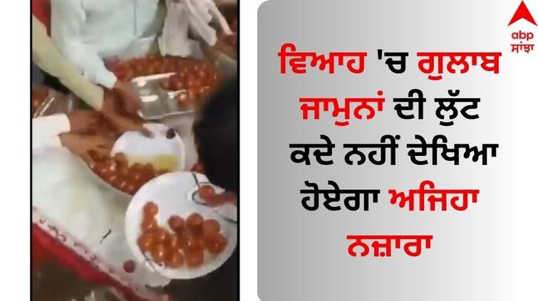 People broke up on gulab jamun in marriage Watch Viral Video Viral Video: ਵਿਆਹ 'ਚ ਗੁਲਾਬ ਜਾਮੁਨਾਂ ਦੀ ਲੁੱਟ, ਕਦੇ ਨਹੀਂ ਦੇਖਿਆ ਹੋਏਗਾ ਅਜਿਹਾ ਨਜ਼ਾਰਾ