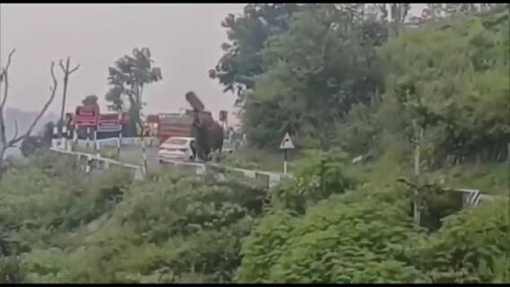 Wild Elephant Attack on Car : నీలగిరి జిల్లాలో హైవేపై ఏనుగు బీభత్సం | ABP Desam