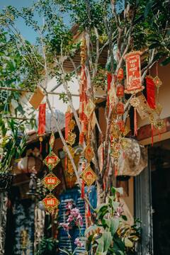 Diwali decoration 2023 : தீபாவளி வந்தாச்சு; வீட்டை ரம்மியமாக அலங்கரிக்க யோசனையா? இதைப் படிங்க!