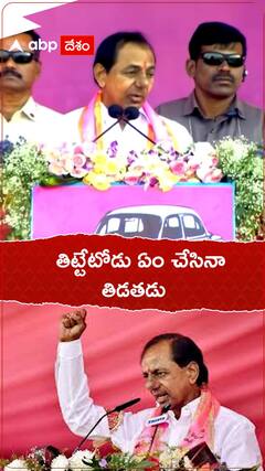 తిట్టేటోడు ఏం చేసినా తిడతనే ఉంటాడు : కేసీఆర్