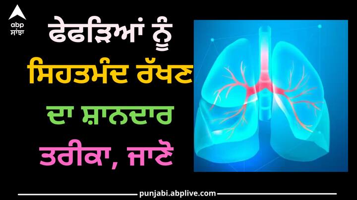 Health Tips:ਤੰਦਰੁਸਤ ਰਹਿਣ ਲਈ ਇਹ ਜ਼ਰੂਰੀ ਹੈ ਕਿ ਸਾਡੇ ਸਰੀਰ ਨੂੰ ਲੋੜੀਂਦੀ ਮਾਤਰਾ ਵਿੱਚ ਆਕਸੀਜਨ ਮਿਲੇ। ਇਸ ਦੇ ਲਈ ਇਹ ਜ਼ਰੂਰੀ ਹੈ ਕਿ ਤੁਹਾਡੇ ਦੋਵੇਂ ਫੇਫੜੇ ਠੀਕ ਤਰ੍ਹਾਂ ਕੰਮ ਕਰਦੇ ਹੋਣ।