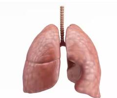 Health Tips: ਫੇਫੜਿਆਂ ਨੂੰ ਸਿਹਤਮੰਦ ਰੱਖਣ ਦਾ ਸ਼ਾਨਦਾਰ ਤਰੀਕਾ, ਜਾਣੋ