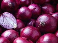 Onion : कांद्याच्या दरात वाढ, पण....
