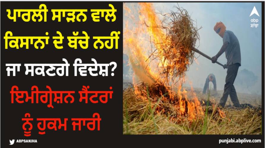Patiala News: ਪਰਾਲੀ ਸਾੜਨ ਵਾਲੇ ਕਿਸਾਨਾਂ ਦੇ ਬੱਚੇ ਨਹੀਂ ਜਾ ਸਕਣਗੇ ਵਿਦੇਸ਼? ਇਮੀਗ੍ਰੇਸ਼ਨ ਸੈਂਟਰਾਂ ਨੂੰ ਹੁਕਮ ਜਾਰੀ patiala magisterate issues order to immigration centres to instruct punjab farmer on stubble burning Patiala News: ਪਰਾਲੀ ਸਾੜਨ ਵਾਲੇ ਕਿਸਾਨਾਂ ਦੇ ਬੱਚੇ ਨਹੀਂ ਜਾ ਸਕਣਗੇ ਵਿਦੇਸ਼? ਇਮੀਗ੍ਰੇਸ਼ਨ ਸੈਂਟਰਾਂ ਨੂੰ ਹੁਕਮ ਜਾਰੀ