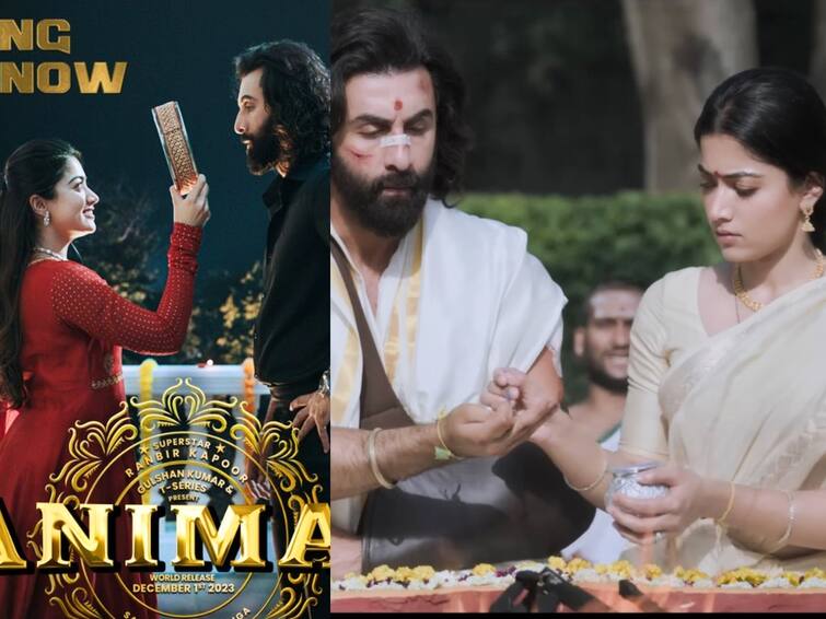 ranbir kapoor rashmika mandana animal second single satranga re  released Animal Second Single: ராஷ்மிகாவை அழவைத்த ரன்பீர்.. ‘அனிமல்’ திரைப்படத்தின் இரண்டாம் பாடல் வெளியீடு!