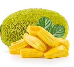 Health Tips: ਕਟਹਲ ਖਾਣ ਤੋਂ ਬਾਅਦ ਗਲਤੀ ਨਾਲ ਵੀ ਨਾ ਖਾਓ ਇਹ ਚੀਜ਼ਾਂ...ਨਹੀਂ ਤਾਂ ਹੋ ਸਕਦਾ ਵੱਡਾ ਨੁਕਸਾਨ