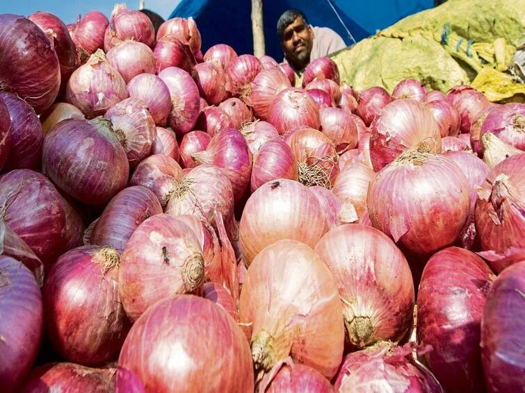 onions are being sold at just RS 25 per kg in these cities amid price rise  Onion Price : कांद्याचे दर कमी करण्यासाठी सरकारचा प्लॅन, 170 शहरात स्वस्त दरात कांद्याची विक्री 