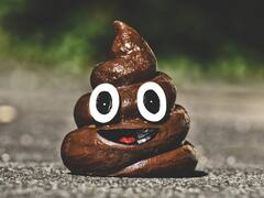 यहां पॉटी को फ्लश करने से डरते हैं लोग, सरकार ने दिया है मल जमा करने का आदेश