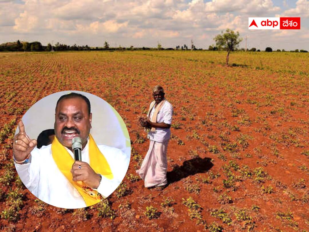 TDP criticized CM Jagan for not paying attention to the farmers despite the drought in AP. TDP News : ఏపీలో గత వందేళ్లలో లేనంత కరవు - రైతులకు నష్టపరిహారం చెల్లించాలని టీడీపీ డిమాండ్