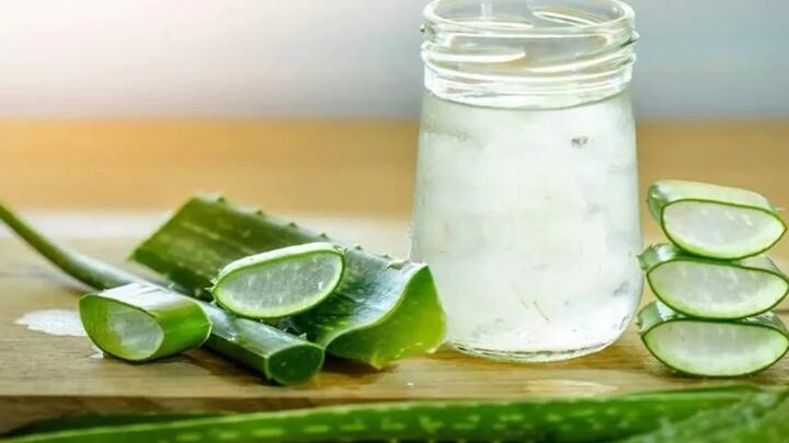 એમાં કોઈ શંકા નથી કે એલોવેરા જ્યુસ સ્વાસ્થ્યનો ખજાનો છે. શરીરની અંદરનો રોગ હોય કે બહારનો, એલોવેરા દરેક પ્રકારની સમસ્યાઓથી છુટકારો મેળવવામાં મદદ કરે છે. જો કે એલોવેરા જ્યુસનું સેવન સદીઓથી કરવામાં આવે છે અને મોટાભાગના લોકો તેને કુવારપાઠું કે  એલોવેરાના નામથી જાણે છે.