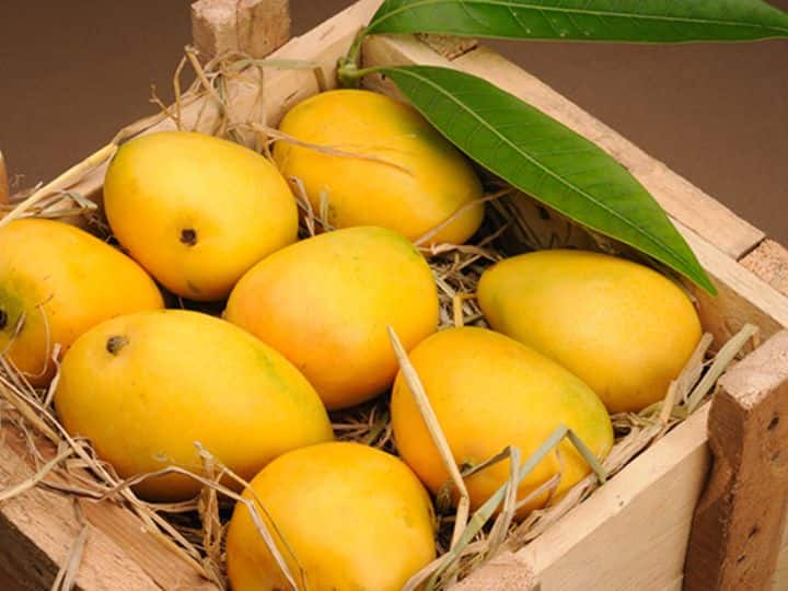 India exports mangoes worth USD 47.98 million in April August of 2023-24 India registers 19% growth in mango export to USA India Mango Exports: दुनिया को रास आ रहा भारत के आम की मिठास, इस सीजन में आम के निर्यात में 19 फीसदी का उछाल