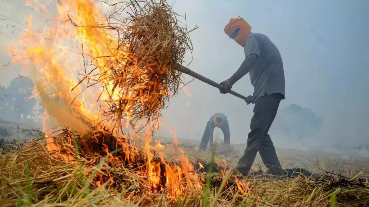 This farmer solved the problem of stubble storage. Paddy Stubble: ਪਰਾਲੀ ਸਾਂਭਣ ਦੀ ਸਮੱਸਿਆ ਦਾ ਤੋੜ ਇਸ ਕਿਸਾਨ ਨੇ ਕੱਢਿਆ, ਅੱਗ ਲਾਉਣ ਦੀ ਪ੍ਰਥਾ ਹੋਵੇਗੀ ਖ਼ਤਮ