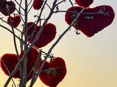 प्‍यार में शादीशुदा बांग्लादेशी मह‍िला ने पार की सरहद, प्रेमी से रचाई शादी, अब पहुंची हवालात