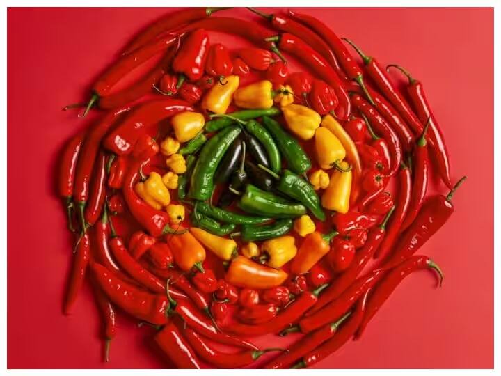 Health Tips which is more beneficial red chilli or green chilli marathi news Health Tips : लाल की हिरवी मिरची? जाणून घ्या जेवणात कोणती मिरची वापरायची? कोणती जास्त फायदेशीर?