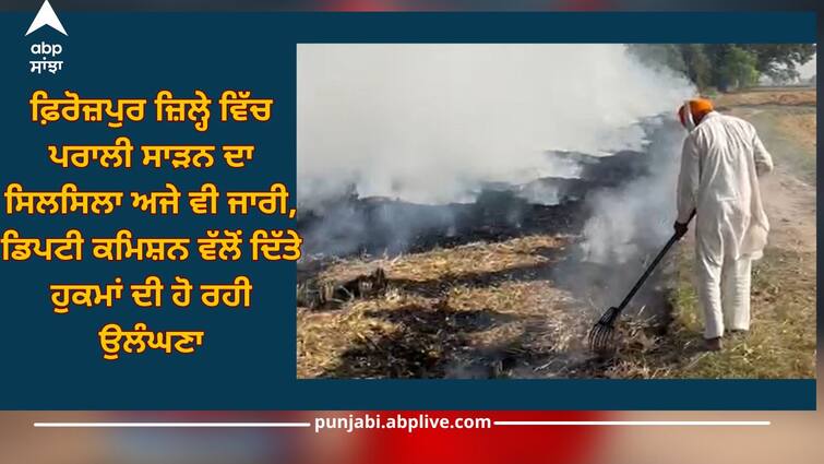 Process of stubble burning is still going on in Firozpur district, orders given by  Deputy Commission are being violated Firozpur News: ਫ਼ਿਰੋਜ਼ਪੁਰ ਜ਼ਿਲ੍ਹੇ ਵਿੱਚ ਪਰਾਲੀ ਸਾੜਨ ਦਾ ਸਿਲਸਿਲਾ ਅਜੇ ਵੀ ਜਾਰੀ, ਡਿਪਟੀ ਕਮਿਸ਼ਨ ਵੱਲੋਂ ਦਿੱਤੇ ਹੁਕਮਾਂ ਦੀ ਹੋ ਰਹੀ ਉਲੰਘਣਾ