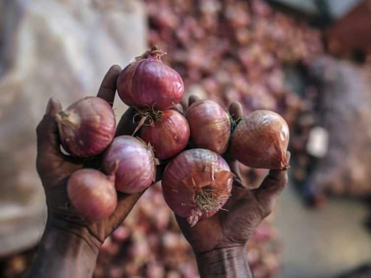 Agriculture news Onion price has increased in Nashik    Onion : कांद्याला दराची 'झळाळी', शेतकरी दु:खी कारण; दर आहे पण कांदा नाही