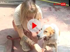 Watch: वाराणसी में रहने वाली स्ट्रीट डॉग को मिली नई पहचान, पासपोर्ट के साथ जाएगी नीदरलैंड, देखें वीडियो