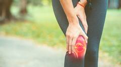 सांधेदुखीचा त्रास असह्य होत असेल तर 'ही' 5 प्रकारची पाने गुणकारी; काही दिवसांतच फरक जाणवेल