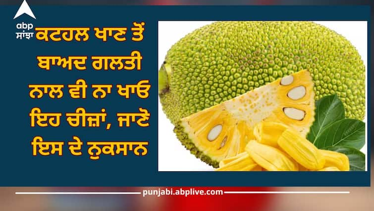 Jackfruit: Do not accidentally eat these things after eating jackfruit, know its harm Jackfruit: ਕਟਹਲ ਖਾਣ ਤੋਂ ਬਾਅਦ ਗਲਤੀ ਨਾਲ ਵੀ ਨਾ ਖਾਓ ਇਹ ਚੀਜ਼ਾਂ, ਜਾਣੋ ਇਸ ਦੇ ਨੁਕਸਾਨ