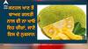Jackfruit: ਕਟਹਲ ਖਾਣ ਤੋਂ ਬਾਅਦ ਗਲਤੀ ਨਾਲ ਵੀ ਨਾ ਖਾਓ ਇਹ ਚੀਜ਼ਾਂ, ਜਾਣੋ ਇਸ ਦੇ ਨੁਕਸਾਨ