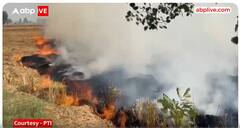 Burning of stubble in punjab is causing huge damage to the environment, will the government be able to find a permanent solution to this problem?