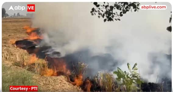 Punjab: पराली जलाने से हो रहा है वातावरण को भारी नुकसान, क्या सर्कार निकल पाएगी इस समस्या का स्थाई हल