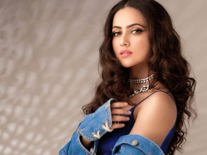 सना खान 10-20 कोटींच्या संपत्तीची मालकीन आहे.