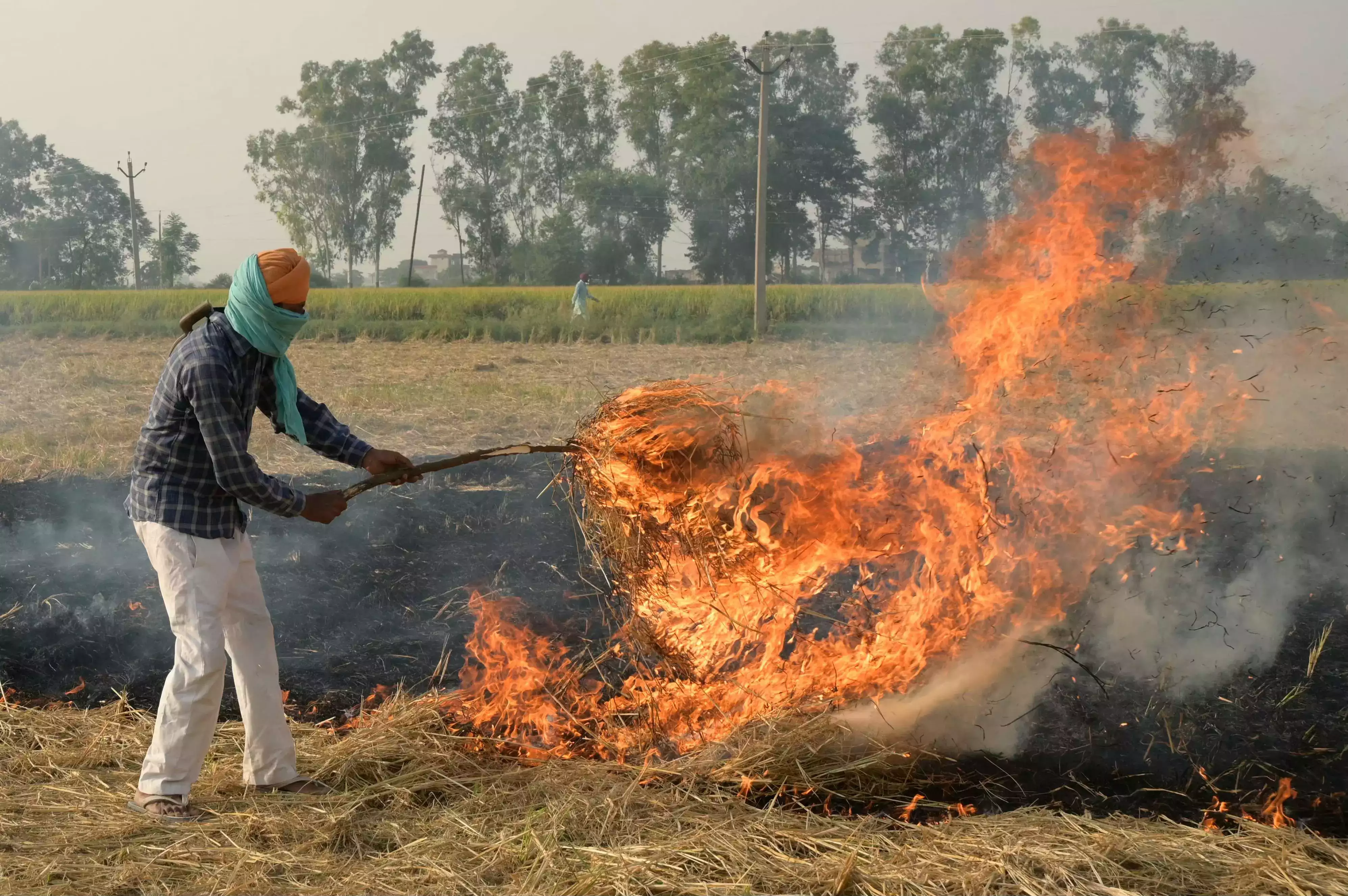 Farmers who burn stubble, their Arms License cancelled Stubble Burning: ਪਰਾਲੀ ਨੂੰ ਅੱਗ ਲਾਉਣ ਵਾਲੇ ਕਿਸਾਨਾਂ ਨੂੰ ਪ੍ਰਸ਼ਾਸਨ ਨੇ ਦਿੱਤਾ ਇੱਕ ਹੋਰ ਡਰਾਵਾ 