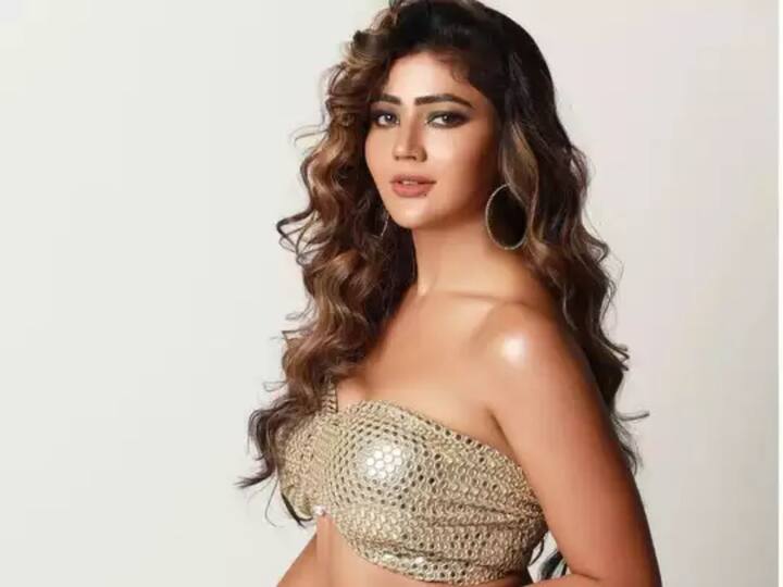 सोनिया बंसलकडे फक्त एक कोटी रुपये संपत्ती आहे.