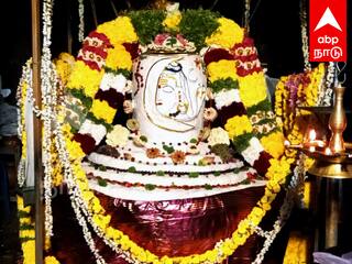 Annabhishekam Shiva decorated with 50 kg swan and vegetables at Villupuram ஐப்பசி அன்னாபிஷேகம் : விழுப்புரத்தில் 50 கிலோ அன்னமும், காய்கறி பழங்களாலும் அலங்கரிக்கப்பட்ட சிவலிங்கம்...