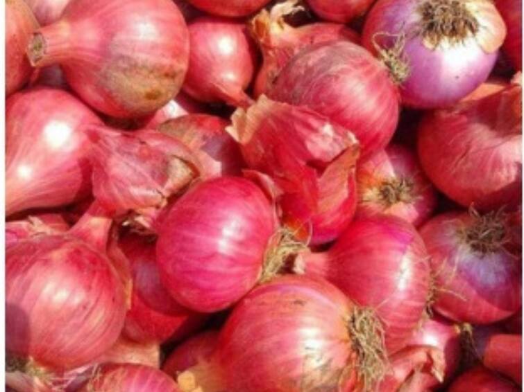 Onion price today kanchipuram and chengalpattu big onions are sold at Rs 70 per kg TNN Onion price hike: உயரும் வெங்காயம் விலை - காஞ்சிபுரம் , செங்கல்பட்டில் நிலவரம் என்ன?