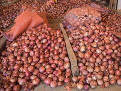 प्याज की महंगाई को कम करने के लिए केंद्र सरकार का बड़ा फैसला, एक्सपोर्ट के लिए तय किया 800 डॉलर प्रति टन का MEP