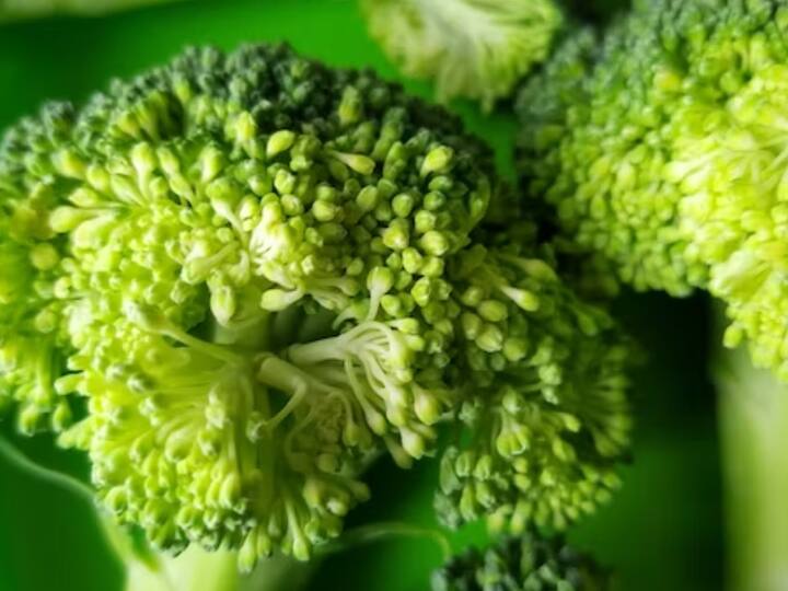 ப்ரோக்கோலியில் ஜின்க், கால்சியம், விட்டமின்கள் உள்ளிட்ட பல நன்மைகள் நிறைந்துள்ளது.