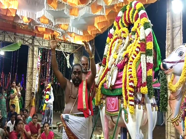 mayiladuthurai kuthalam om kaalishwarar temple festival  ஓம்காளீஸ்வரர் கோயிலில் திருக்கல்யாண உற்சவம்; உற்சாகமாக நடனமாடிய யானை- வைரல் வீடியோ!