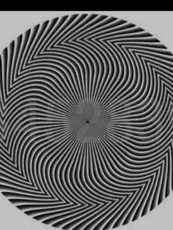 इस तस्वीर में छिपे हुए हैं कुछ नंबर, क्या 10 सेकेंड में ढूंढ पाएंगे?