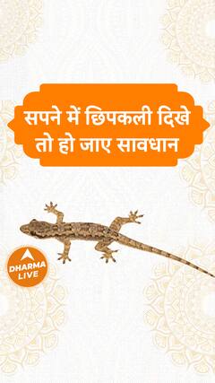 Dream Interpretation:सपने में छिपकली दिखे तो हो जाए सावधान | Lizard In Dreams | Dharma Live