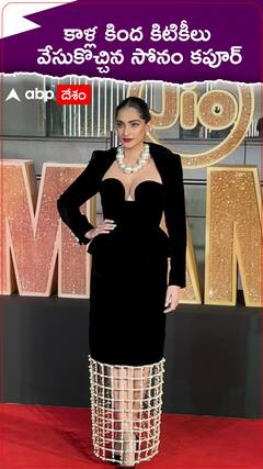 కిటికీల డ్రెస్ వేసుకొచ్చిన సోనం కపూర్