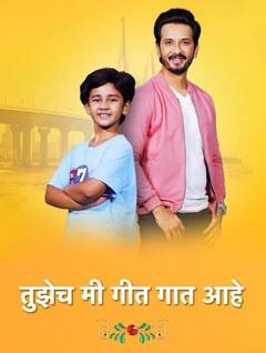 छोट्या पडद्यावरील कोणत्या मालिकेला मिळालं सर्वाधिक रेटिंग?