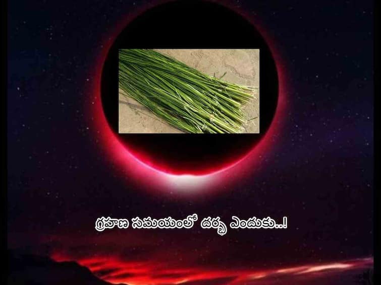 Lunar Eclipse 2023: what is the reason dharba put on food items eclipse time, importance of dharba Lunar Eclipse 2023: గ్రహణాలకి - దర్భలకి ఏంటి సంబంధం, ఆహార పదార్థాలపై వేయకపోతే ఏమవుతుంది!