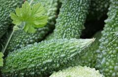 Health Tips: અસ્થમાના દર્દી છો? તો આ શાકને ડાયટમાં અચૂક કરો સામેલ, જાણો સેવનના અન્ય ફાયદા