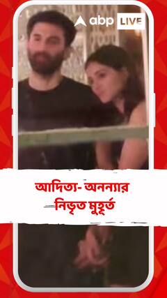 আদিত্যর কাঁধে মাথা, হাতে হাত অনন্যার, ভাইরাল নিভৃত মুহূর্তের ছবি