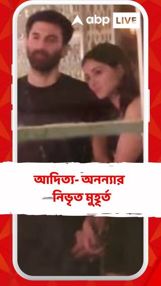 আদিত্যর কাঁধে মাথা, হাতে হাত অনন্যার, ভাইরাল নিভৃত মুহূর্তের ছবি