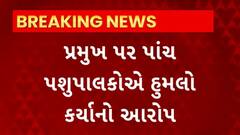 Mehsana News : મેહસાણાના વિજાપુરના લાડોલ ગામના દૂધ મંડળીના પ્રમુખ પર હુમલો