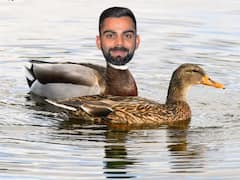 वर्ल्ड कप में पहली बार जीरो पर आउट हुए कोहली तो इंग्लैंड की बार्मी-आर्मी ने उड़ाया मजाक, फिर भारतीय फैंस ने ऐसे सिखाया सबक