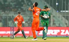 World Cup 2023: नेदरलँडचे खेळाडू प्रोफेशनल क्रिकेटर नाहीत; कुणी इंजिनीअर, तर कुणी बिझनेसमॅन