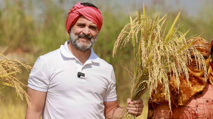 Congress MP Rahul Gandhi: শিয়রে নির্বাচন। তার আগে ছত্তিসগড়ে প্রচারে এসেছিলেন ওয়েনাড়ের কংগ্রেস সাংসদ রাহুল গাঁধী। বস্তারের কোন্ডাগাঁওয়ে নির্বাচনী সমাবেশ করেছেন।