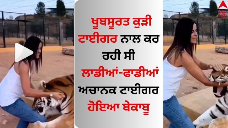 Video Of Woman Getting Attacked By Pet Tiger video goes viral Viral Video: ਖੂਬਸੂਰਤ ਕੁੜੀ ਟਾਈਗਰ ਨਾਲ ਕਰ ਰਹੀ ਸੀ ਲਾਡੀਆਂ-ਫਾਡੀਆਂ, ਅਚਾਨਕ ਟਾਈਗਰ ਹੋਇਆ ਬੇਕਾਬੂ, ਦਿਲ ਦਹਿਲਾਉਣ ਵਾਲਾ ਵੀਡੀਓ