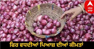 Onion Price Hike: ਪਿਆਜ਼ ਦੀਆਂ ਕੀਮਤਾਂ ਨੇ ਮੱਚਾਈ ਹਾਹਾਕਾਰ! ਭਾਰਤ ਸਰਕਾਰ ਨੇ ਚੁੱਕਿਆ ਵੱਡੀ ਕਦਮ