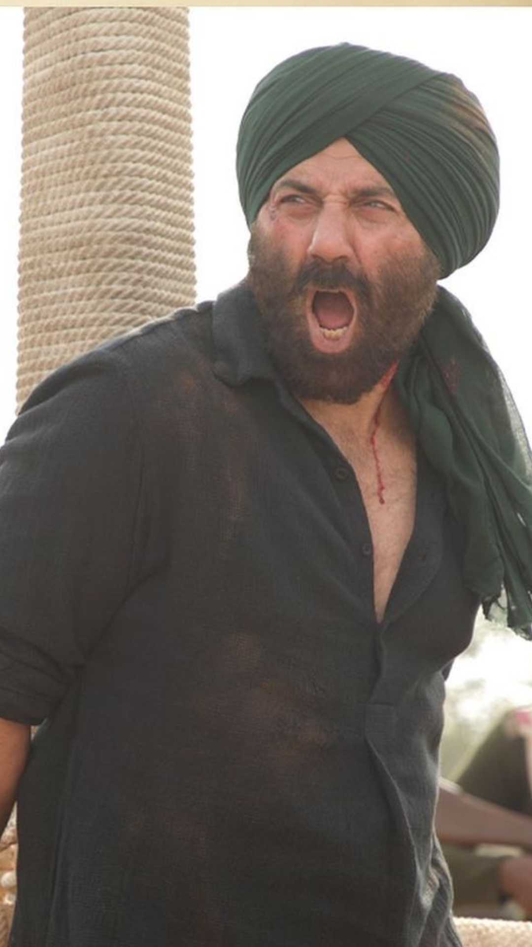 वहीं सनी देओल की दहाड़ से