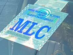 అధికార పార్టీ కండువాతో తిరుమలకు ఎమ్మెల్సీ - వైసీపీ నేత తీరుపై విమర్శలు!